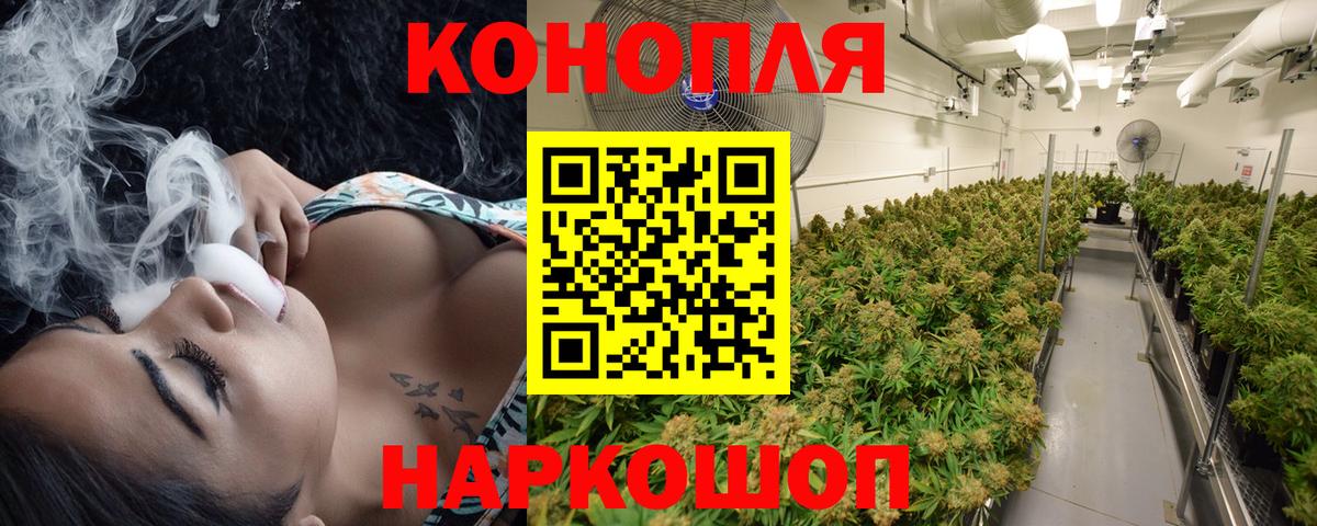 Канабис сатива  Каннабис индика  Советск  Вход с VPN 